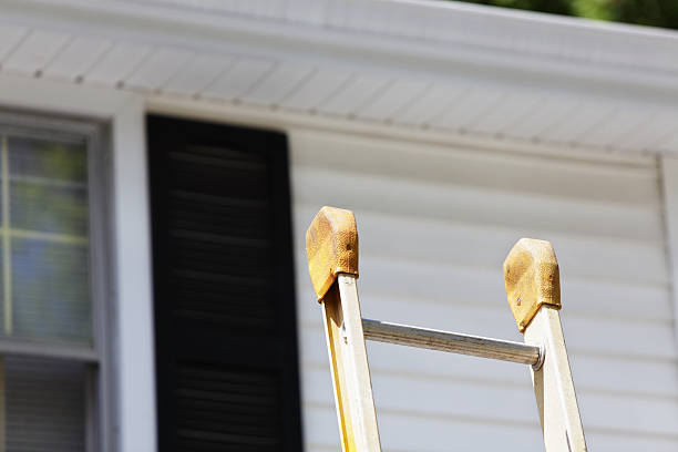 Best Custom Trim and Detailing for Siding  in Mantua, UT