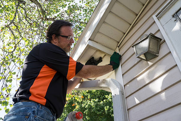 Best Fiber Cement Siding Installation  in Mantua, UT